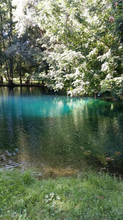 Gite Le Cozillon Cozes Esterno foto