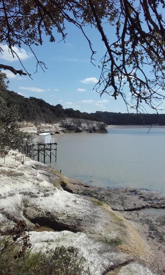Gite Le Cozillon Cozes Esterno foto