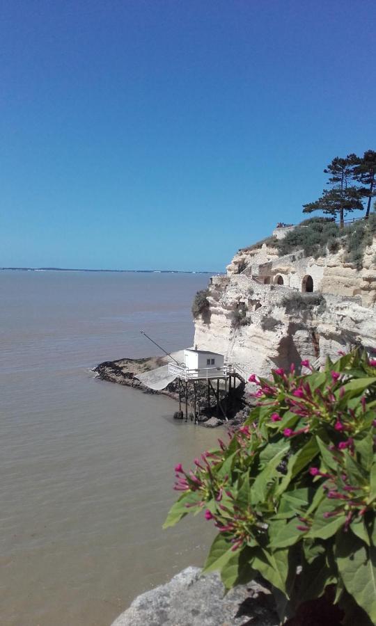 Gite Le Cozillon Cozes Esterno foto